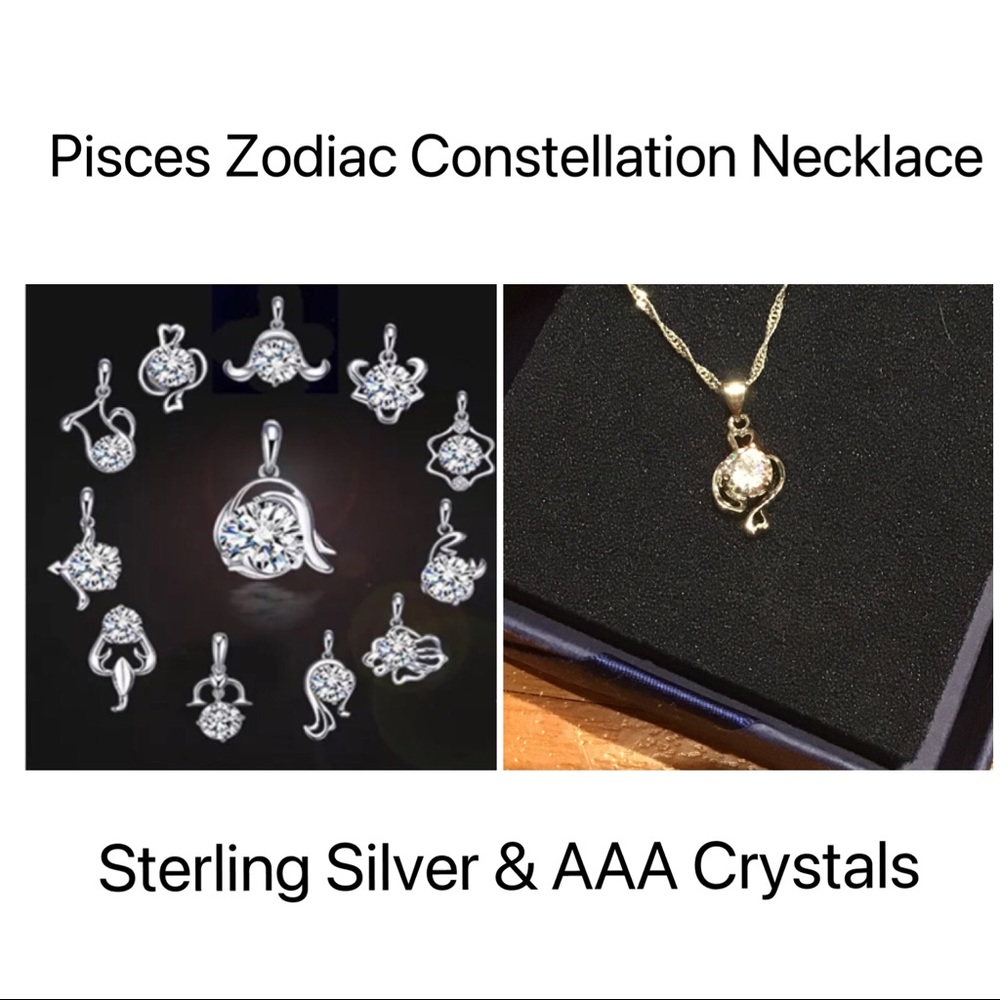 ♓️Pisces Zodiac Constellation Necklace NEW♓️